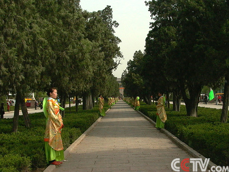 国庆各省旅游收入排行_2005年山东旅游收入(3)